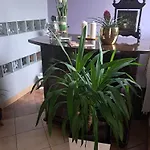 Room- * Strzegowo-Osada